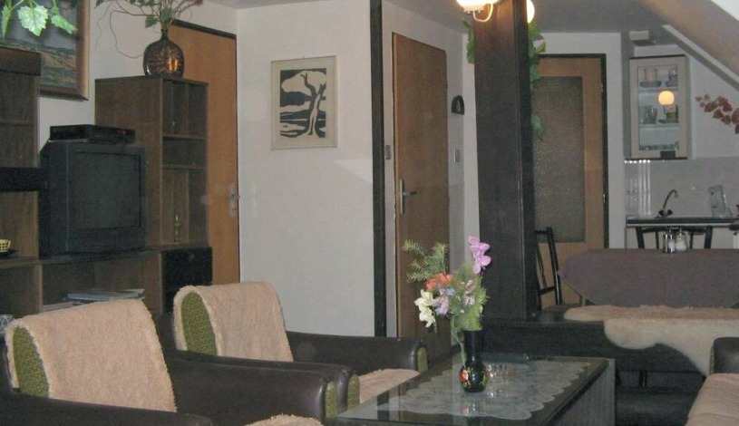 Pension Závodský Český Krumlov - Velké Apartmá